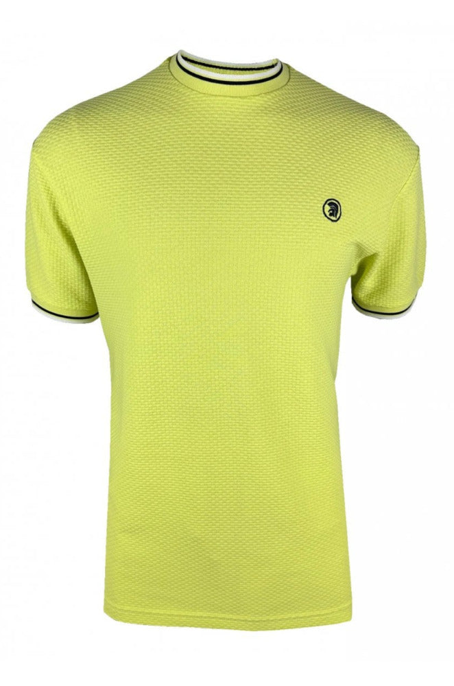 Twin Tipped Textured Tee TC/1037 Pistachio